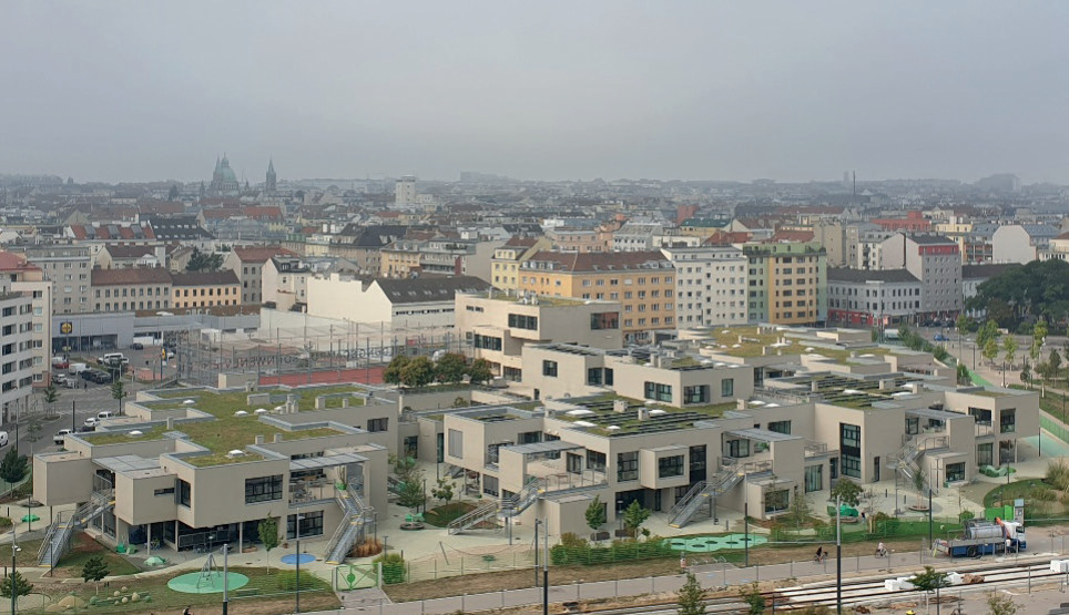 Dachbegrünung, Flächengestaltungskonzept