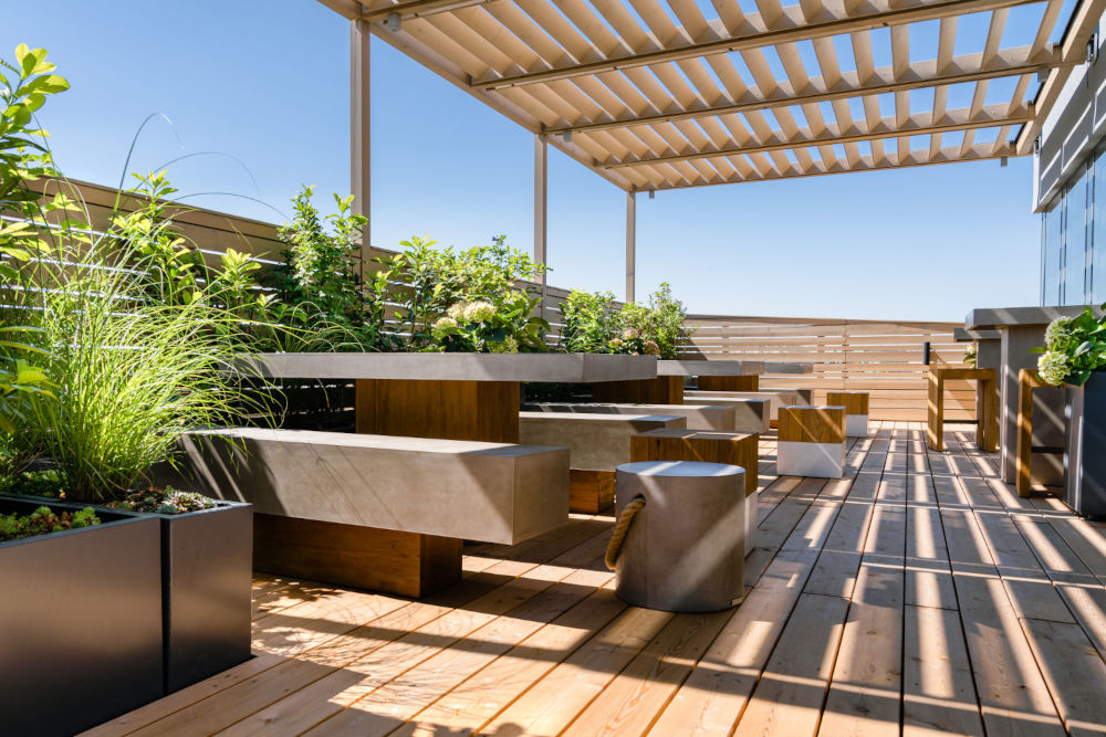 Dachbegrünung in der Startphase