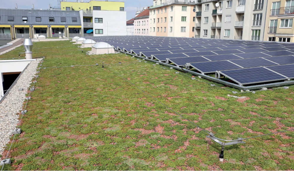 Dachbegrünung inkl. Solarkonzept