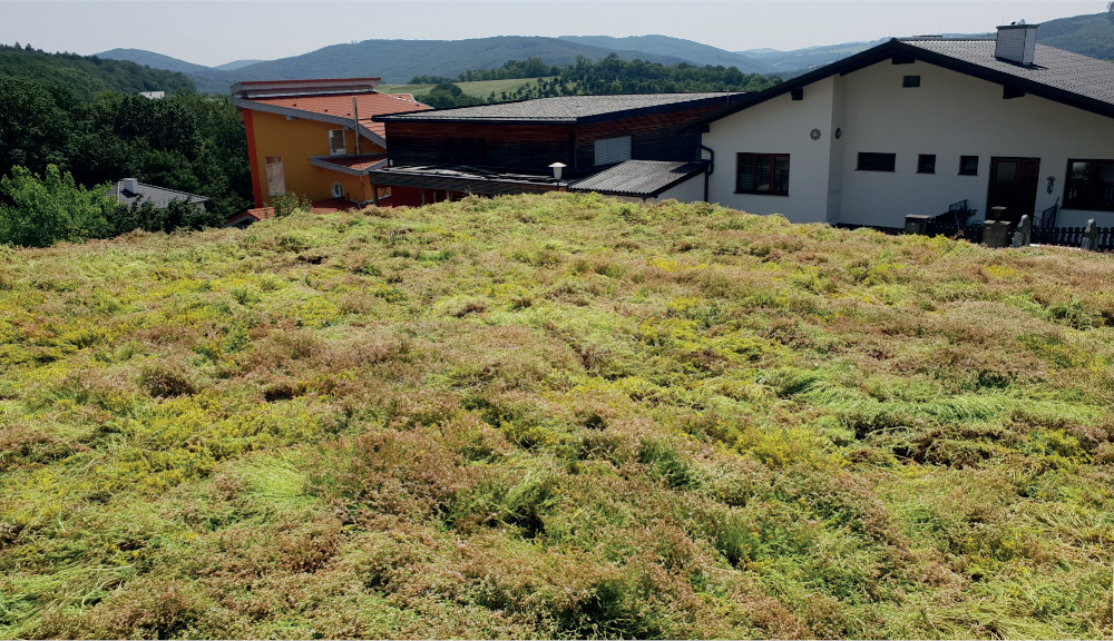 Dachbegrünung von Garage-/Carport-Kombination