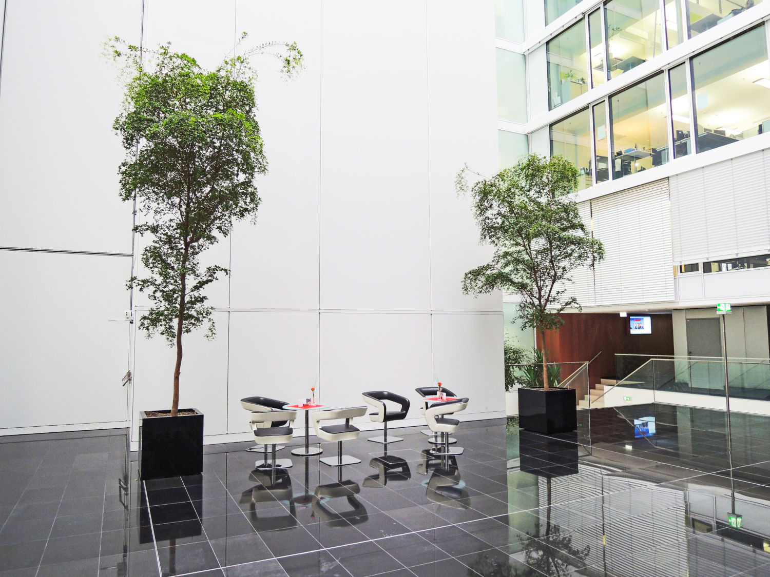 Indoor-Grünplfanzen-Konzept