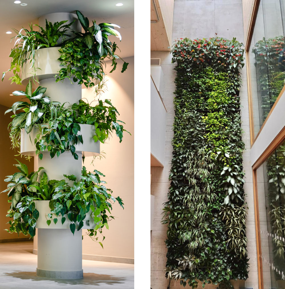 Indoor-Grünplfanzen-Konzept